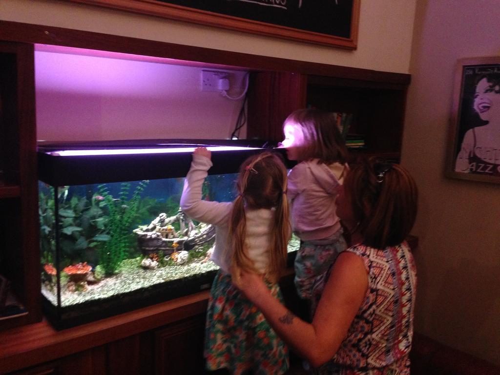 Leitrim Marina Hotel Carrick-on-Shannon Экстерьер фото